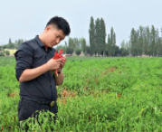 创业故事