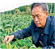 创业故事